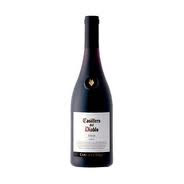 CONCHA Y TORO